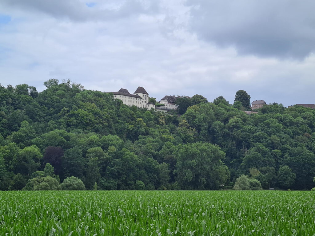Museum Schloss Fürstenberg etwas erhöht auf dem gegenüberliegenden Ufer.