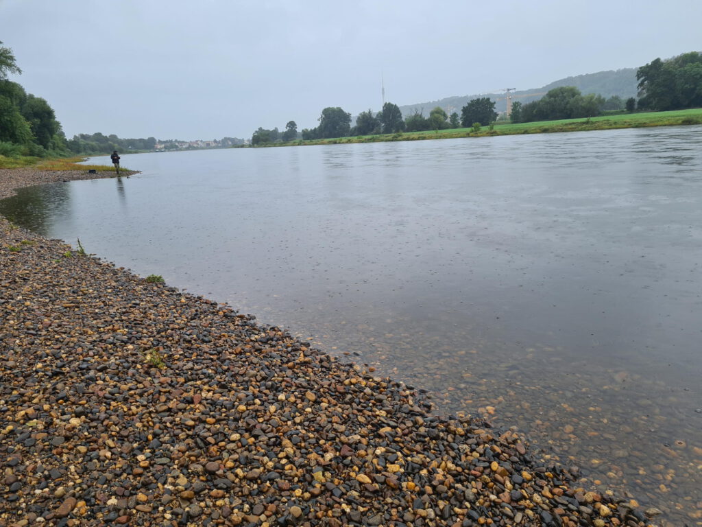 Elbe bei Regen