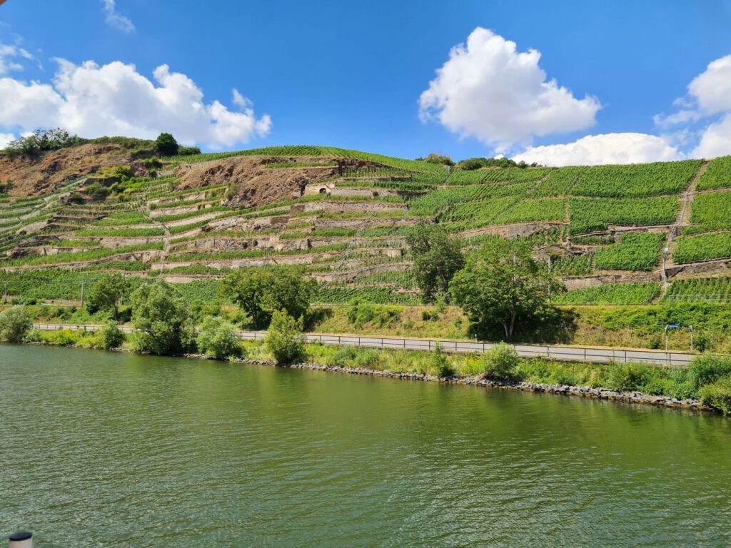 Weinberge an der Mosel