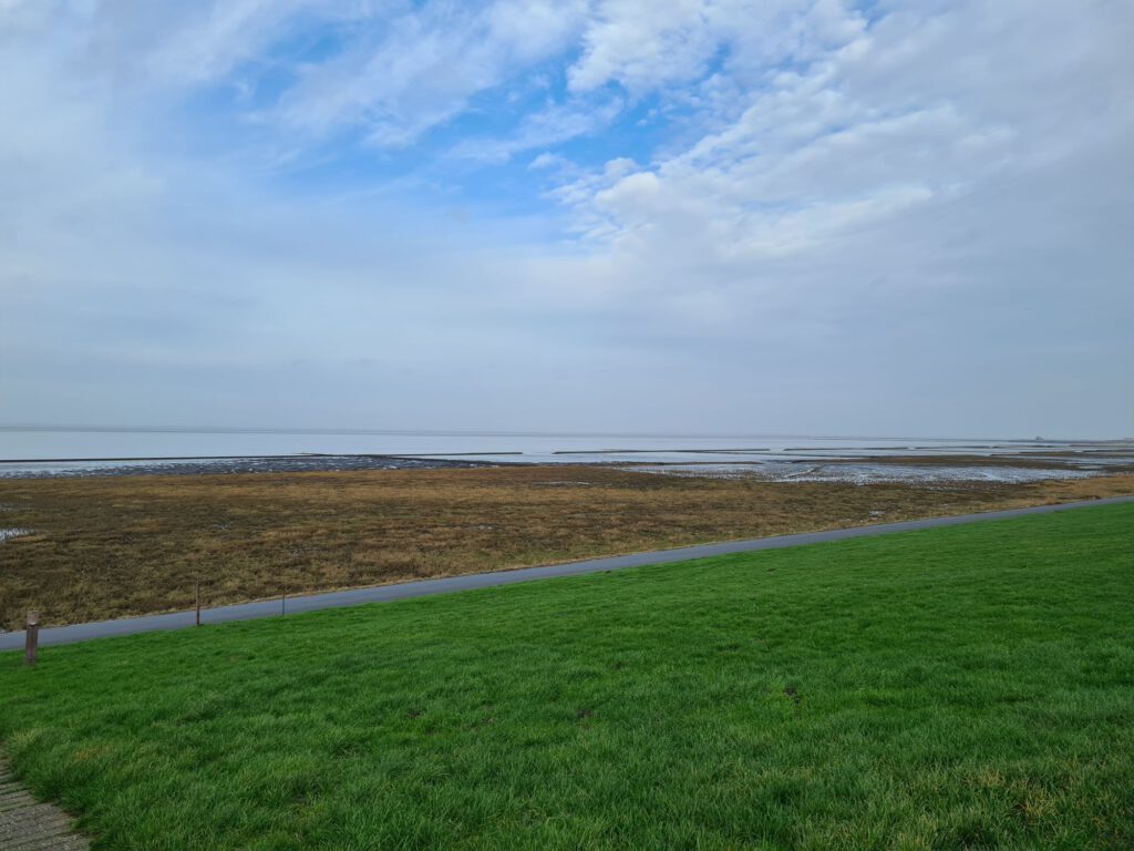 Lahnungen zum Küstenschutz