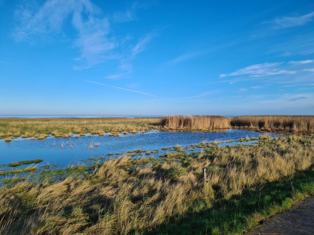 keiner See im Deich