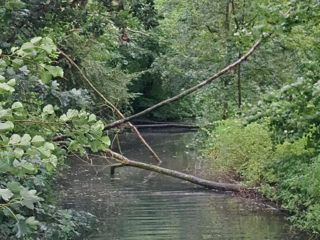 Stellplatz Bad Salzuflen Kurpark