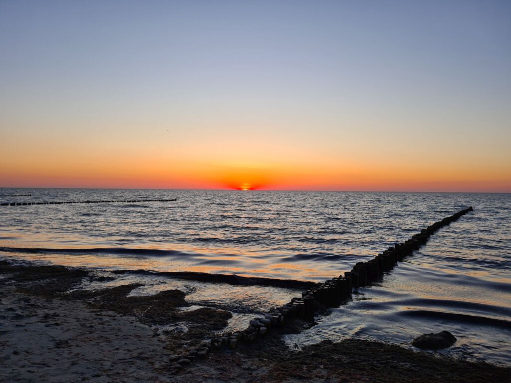 Zwischen Warnemünde und Kühlungsborn – Börgerende-Rethwisch im Mai
