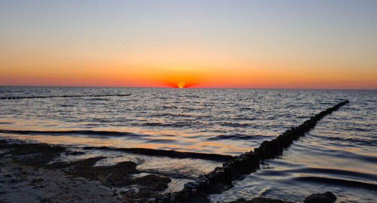 Zwischen Warnemünde und Kühlungsborn – Börgerende-Rethwisch im Mai