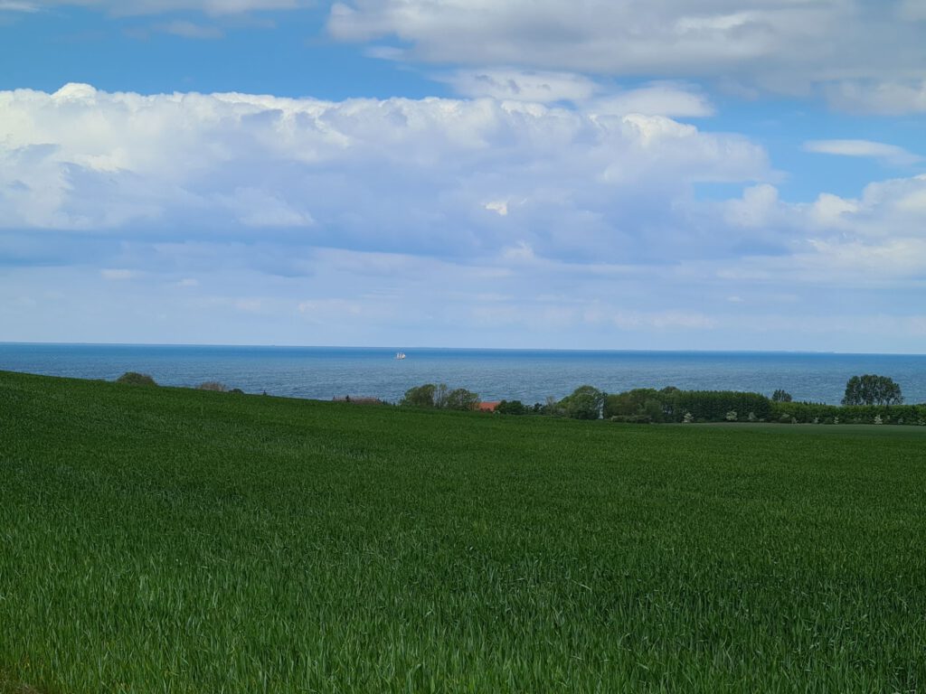 leicht erhöhtes Feld mit Meer in der Ferne