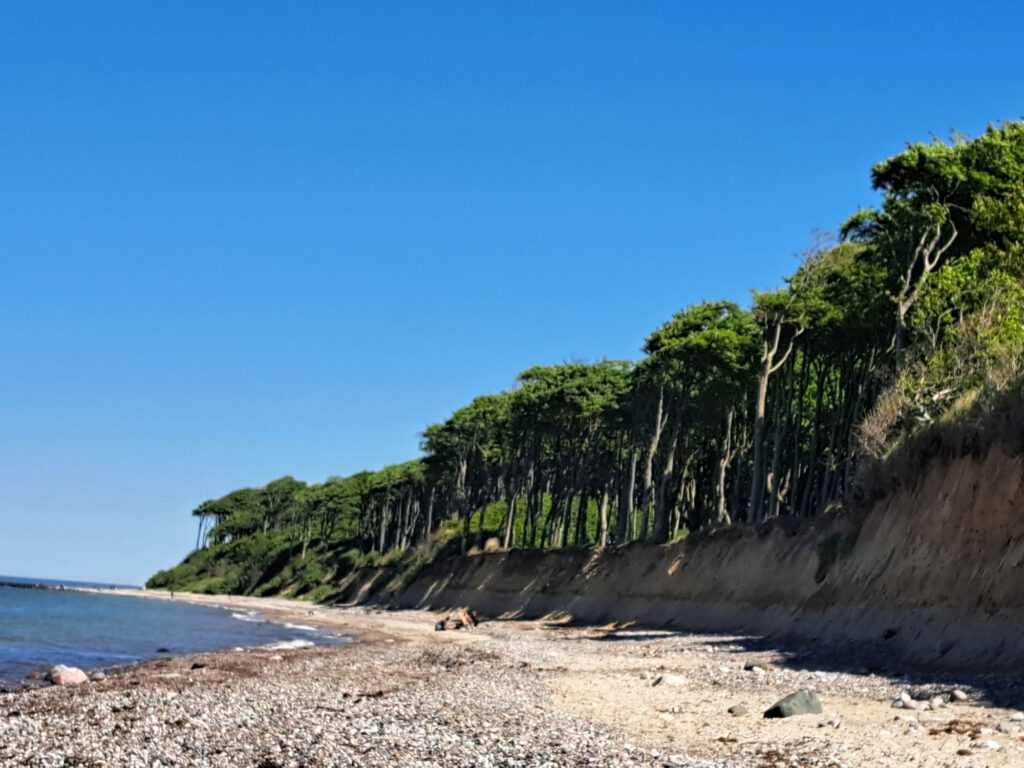 Zwischen Warnemünde und Kühlungsborn reichen die Wälder oft bis an den Strand