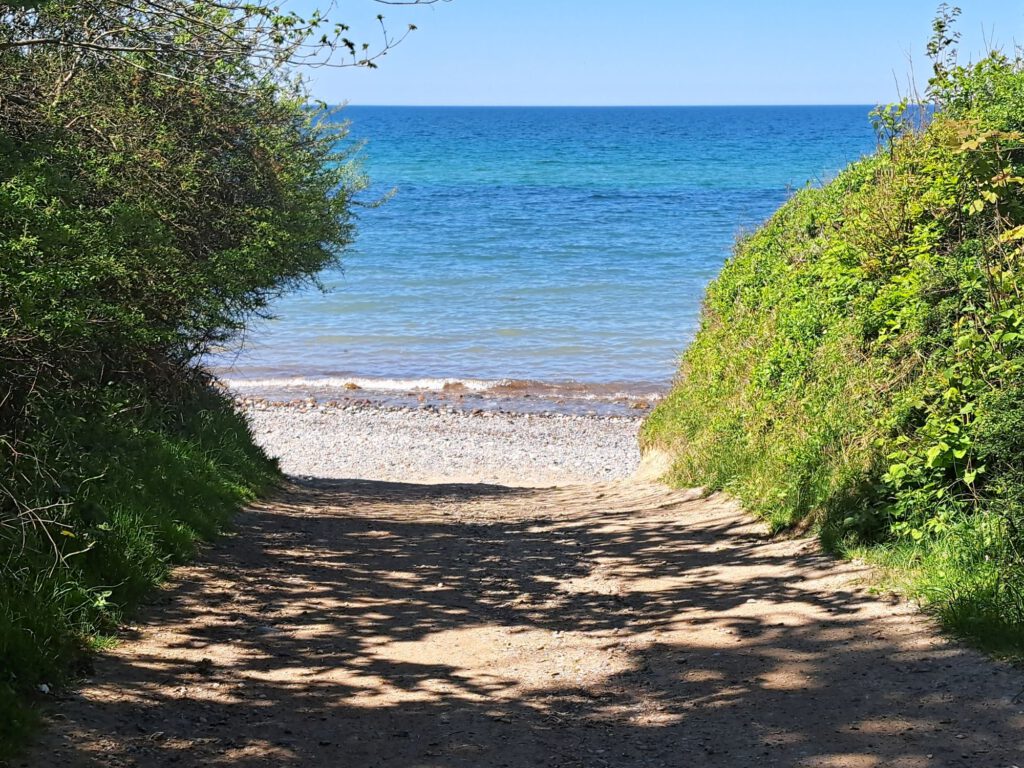 Blick  durch Sträucher zum Strand