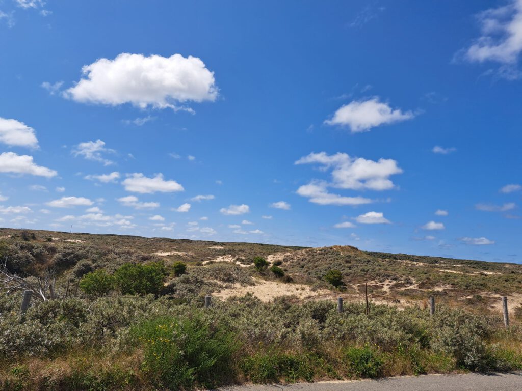 Blick auf die Dünen