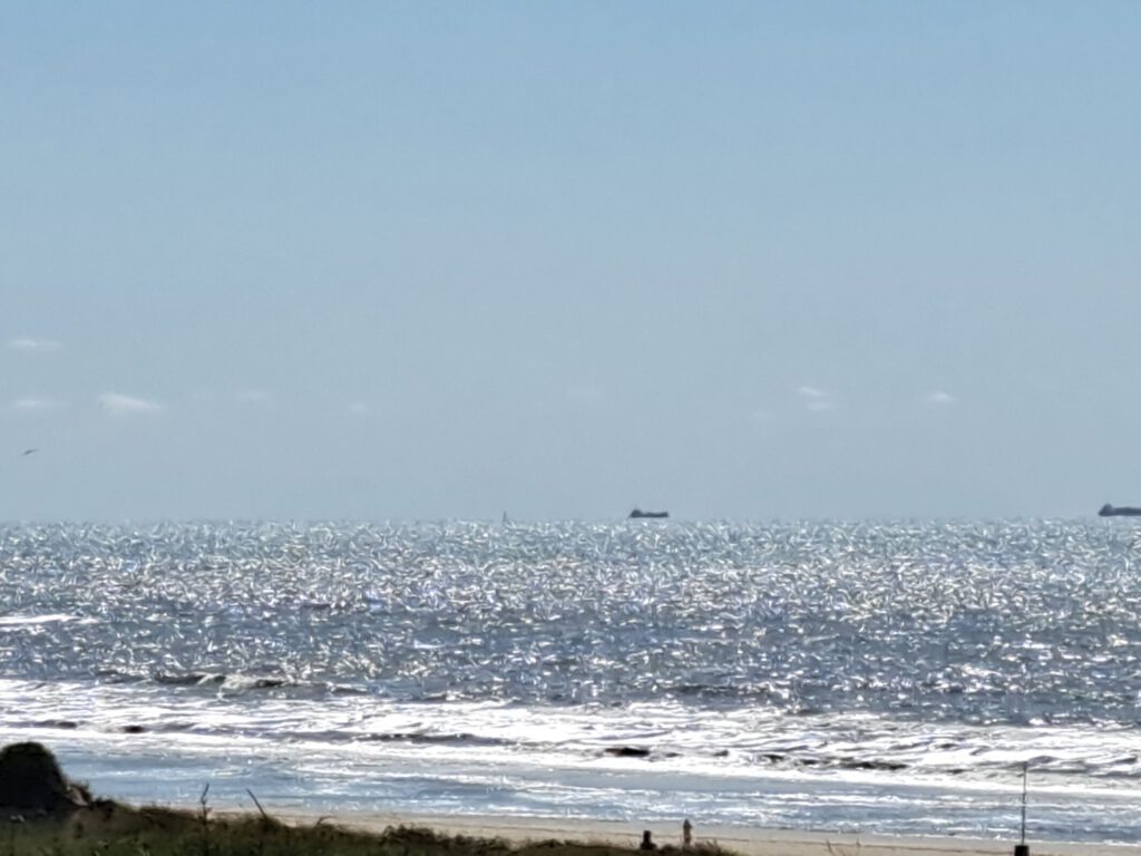 Blick aufs Meer mit Schiffen weit entfernt