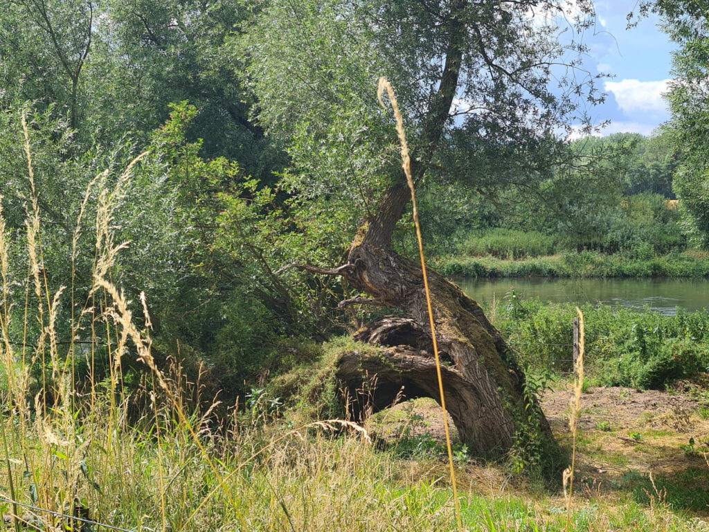 Eindrücke aus dem Weserbergland