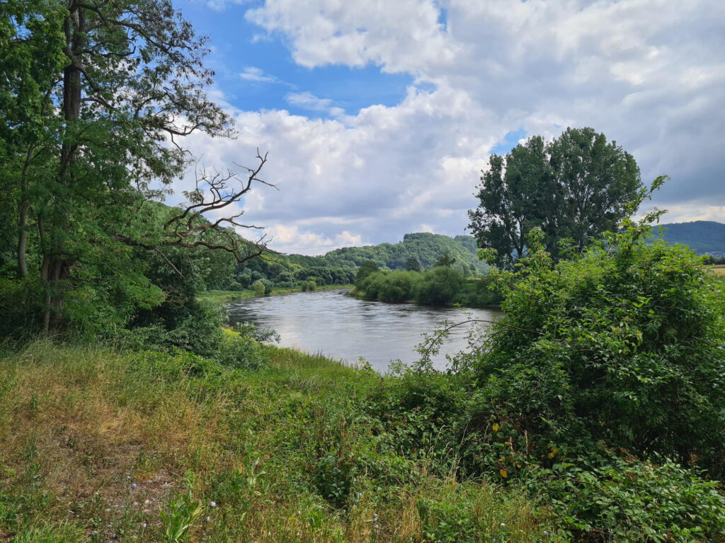 Aussicht während der Fahrt