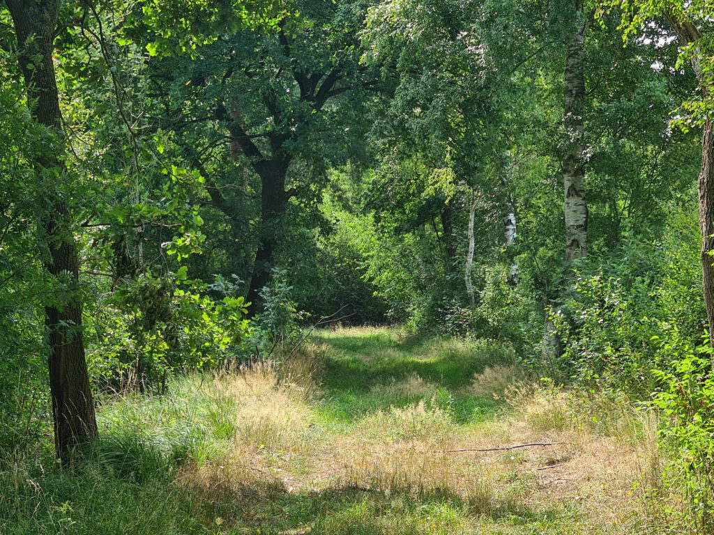 Sackgasse beim Fahrrad fahren