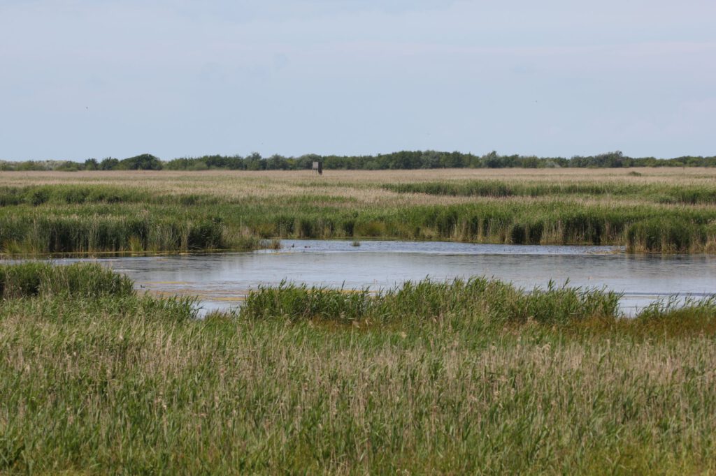 Kleiner See im Hütelmoor