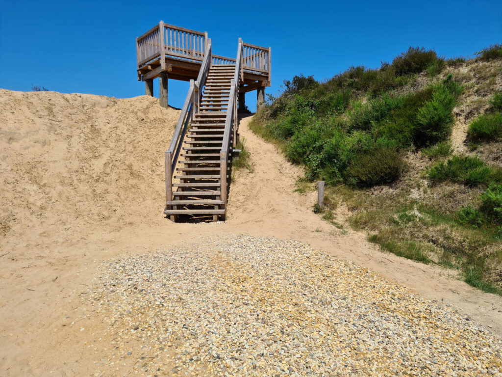 Aussichtsplattform im Brachter Wald