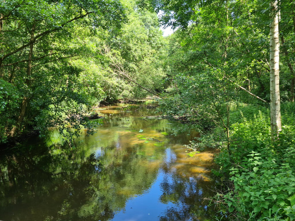 Schwalm von eienr Brücke gesehen