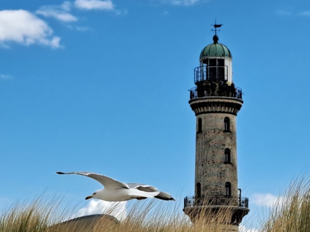 Leuchtturm mit Möwe