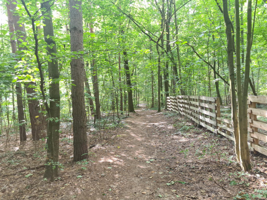 Radweg im Wald abschüssig