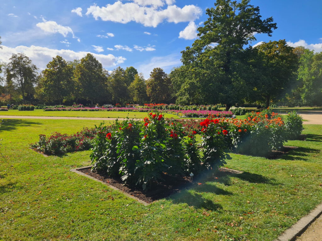 Nicht nur Dresden mit dem Wohnmobil und Fahrrad erleben sondern auch zu Fuß.
Hier der Große Garten