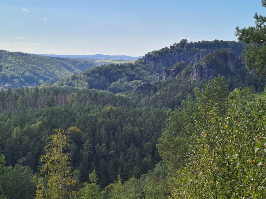 Felsformationen nahe Rathen in der Sächsischen Schweiz