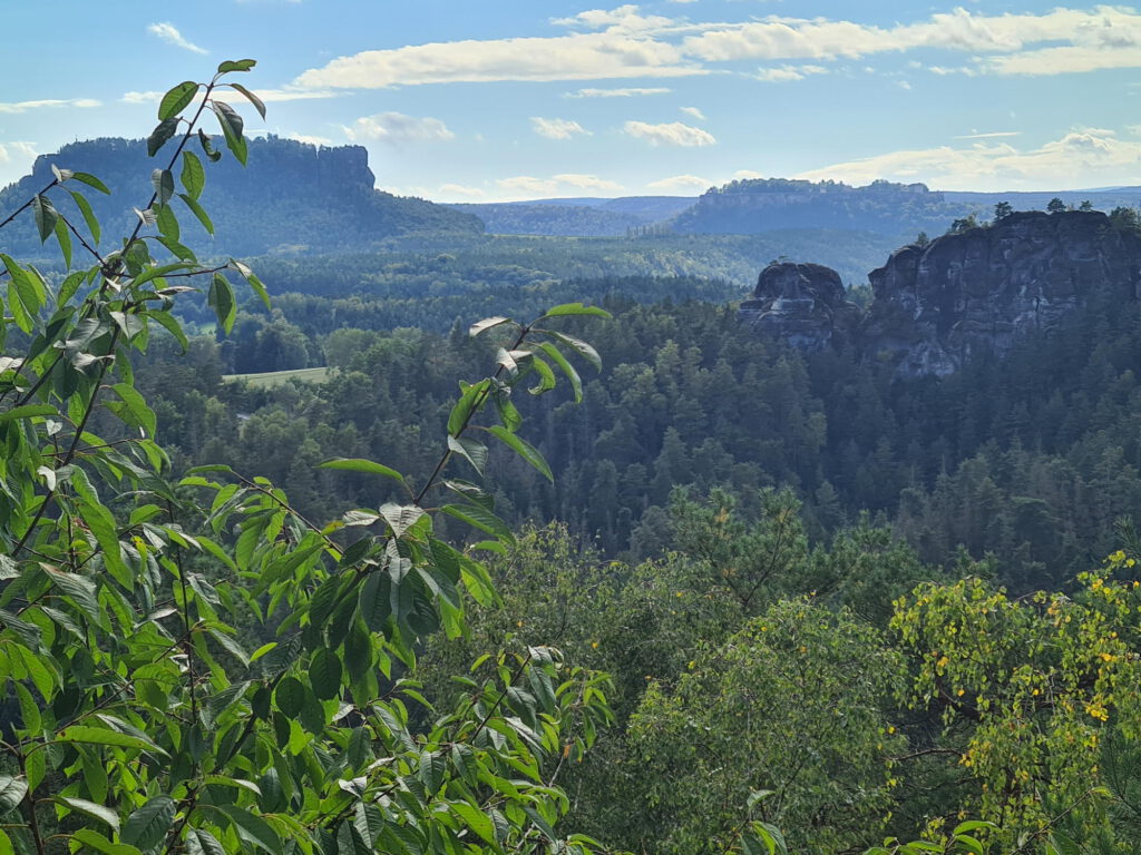 Panorama mit Tafelbergen in der Sächsischen Schweiz