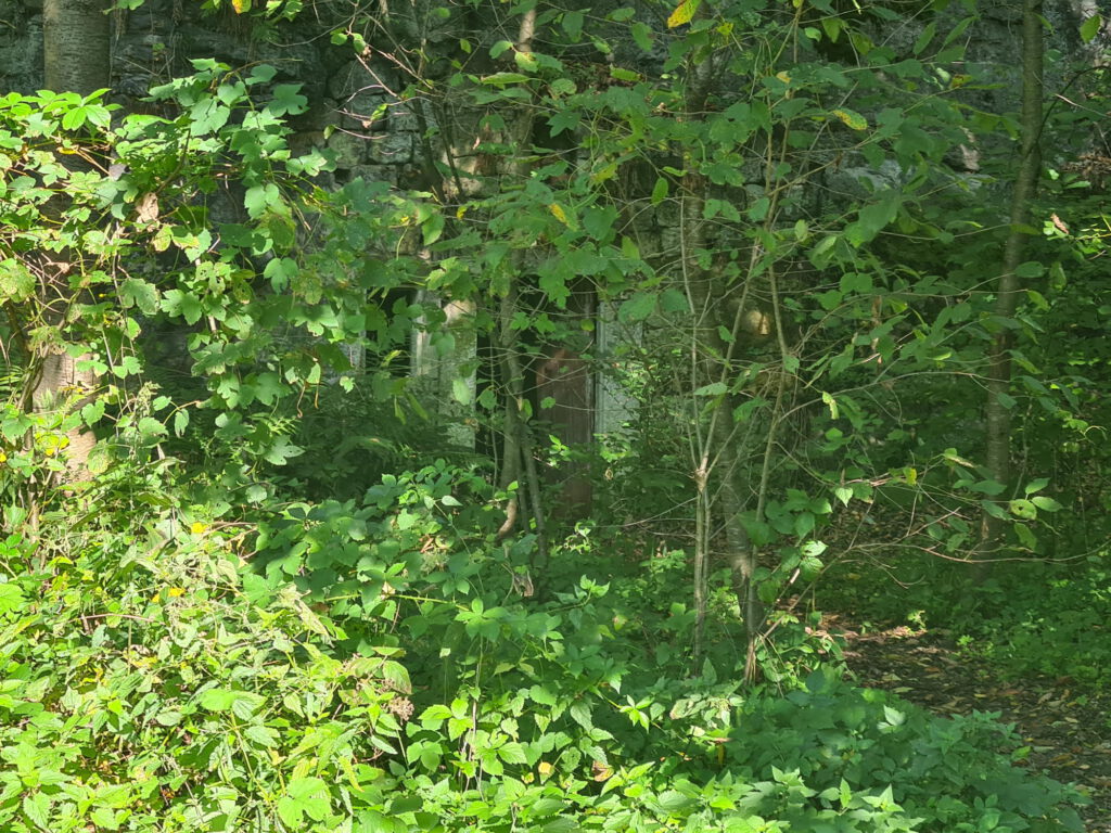 versteckter Eingang zu Felsenhöhle