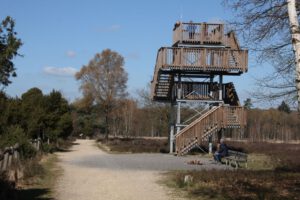 Aussichtsturm im Elmpter Schwalmbruch